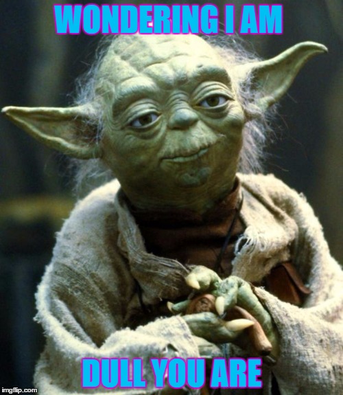 Star Wars Yoda Meme | WONDERING I AM; DULL YOU ARE | image tagged in memes,star wars yoda | made w/ Imgflip meme maker