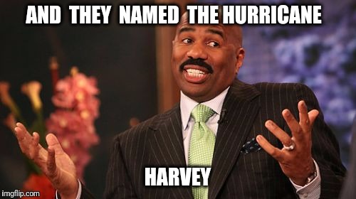 God Bless Texas | AND  THEY  NAMED  THE HURRICANE; HARVEY | image tagged in memes,steve harvey,texas,hurricane | made w/ Imgflip meme maker