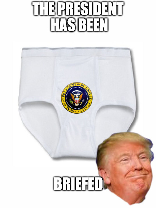 they keep playing this snippet about shows on Hulu, and one line I keep hearing is, "The president has been briefed | THE PRESIDENT HAS BEEN; BRIEFED | image tagged in briefs,underwear,president,donald trump | made w/ Imgflip meme maker