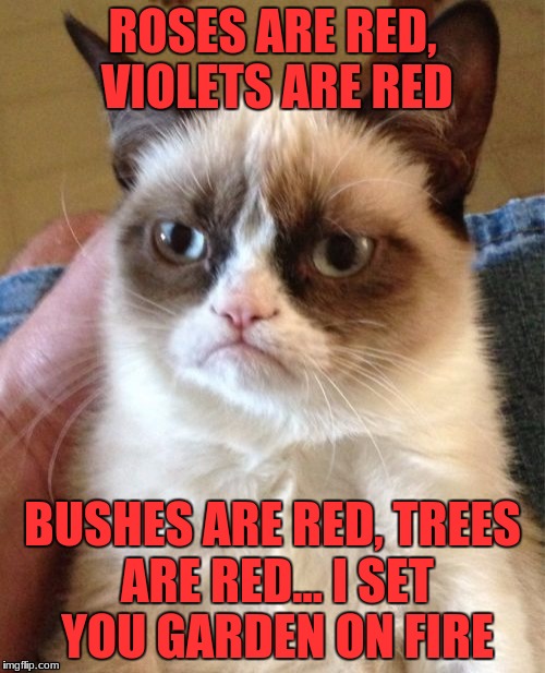Grumpy Cat | ROSES ARE RED, VIOLETS ARE RED; BUSHES ARE RED, TREES ARE RED... I SET YOU GARDEN ON FIRE | image tagged in memes,grumpy cat | made w/ Imgflip meme maker