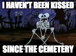 I HAVEN'T BEEN KISSED; SINCE THE CEMETERY | image tagged in cemetery | made w/ Imgflip meme maker