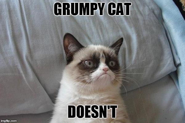 GRUMPY CAT DOESN'T | made w/ Imgflip meme maker