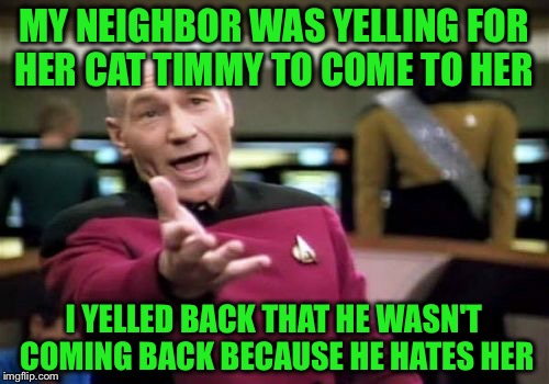This woman is obnoxious! | MY NEIGHBOR WAS YELLING FOR HER CAT TIMMY TO COME TO HER; I YELLED BACK THAT HE WASN'T COMING BACK BECAUSE HE HATES HER | image tagged in memes,picard wtf,cat,neighbors | made w/ Imgflip meme maker