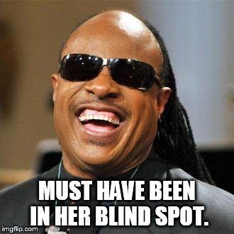 Stevie Wonder | MUST HAVE BEEN IN HER BLIND SPOT. | image tagged in stevie wonder | made w/ Imgflip meme maker