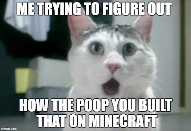 OMG Cat Meme | ME TRYING TO FIGURE OUT; HOW THE POOP YOU BUILT THAT ON MINECRAFT | image tagged in memes,omg cat | made w/ Imgflip meme maker