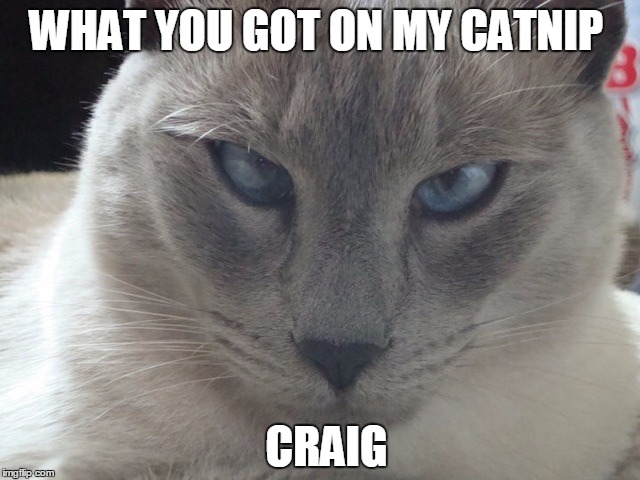 WHAT YOU GOT ON MY CATNIP; CRAIG | image tagged in deebo cat | made w/ Imgflip meme maker