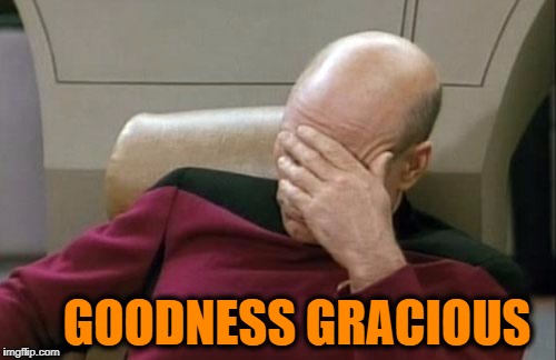 Captain Picard Facepalm Meme | GOODNESS GRACIOUS | image tagged in memes,captain picard facepalm | made w/ Imgflip meme maker