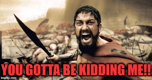 Sparta Leonidas Meme | YOU GOTTA BE KIDDING ME!! | image tagged in memes,sparta leonidas | made w/ Imgflip meme maker