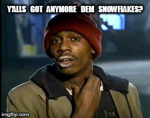 Y'all Got Any More Of That Meme | Y'ALLS   GOT   ANYMORE   DEM   SNOWFLAKES? | image tagged in memes,yall got any more of | made w/ Imgflip meme maker