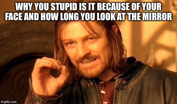 One Does Not Simply | WHY YOU STUPID IS IT BECAUSE OF YOUR FACE AND HOW LONG YOU LOOK AT THE MIRROR | image tagged in memes,one does not simply | made w/ Imgflip meme maker