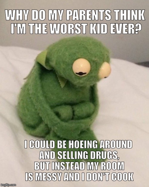 sad kermit | WHY DO MY PARENTS THINK I'M THE WORST KID EVER? I COULD BE HOEING AROUND AND SELLING DRUGS, BUT INSTEAD MY ROOM IS MESSY AND I DON'T COOK | image tagged in sad kermit | made w/ Imgflip meme maker
