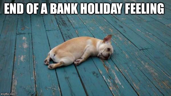 tired dog | END OF A BANK HOLIDAY FEELING | image tagged in tired dog | made w/ Imgflip meme maker