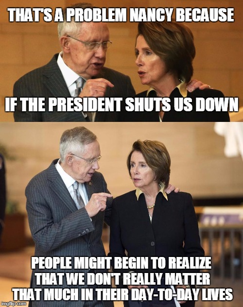 IF THE PRESIDENT SHUTS US DOWN PEOPLE MIGHT BEGIN TO REALIZE THAT WE DON'T REALLY MATTER THAT MUCH IN THEIR DAY-TO-DAY LIVES THAT'S A PROBLE | image tagged in harry and nancy | made w/ Imgflip meme maker