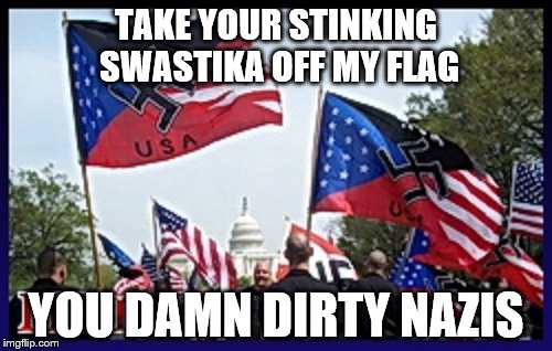 TAKE YOUR STINKING SWASTIKA OFF MY FLAG; YOU DAMN DIRTY NAZIS | image tagged in usa,nazis | made w/ Imgflip meme maker