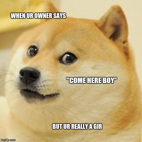 Doge Meme | WHEN UR OWNER SAYS; ''COME HERE BOY''; BUT UR REALLY A GIR | image tagged in memes,doge | made w/ Imgflip meme maker