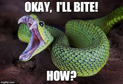 OKAY,  I'LL BITE! HOW? | made w/ Imgflip meme maker