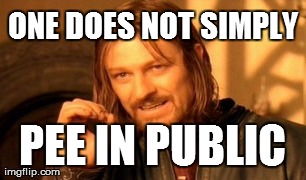 ONE DOES NOT SIMPLY PEE IN PUBLIC | image tagged in memes,one does not simply | made w/ Imgflip meme maker