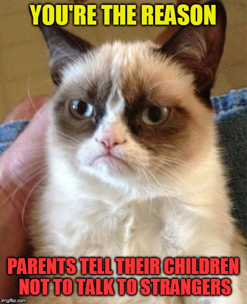 Grumpy Cat Meme | YOU'RE THE REASON; PARENTS TELL THEIR CHILDREN NOT TO TALK TO STRANGERS | image tagged in memes,grumpy cat | made w/ Imgflip meme maker
