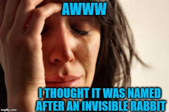 First World Problems Meme | AWWW I THOUGHT IT WAS NAMED AFTER AN INVISIBLE RABBIT | image tagged in memes,first world problems | made w/ Imgflip meme maker