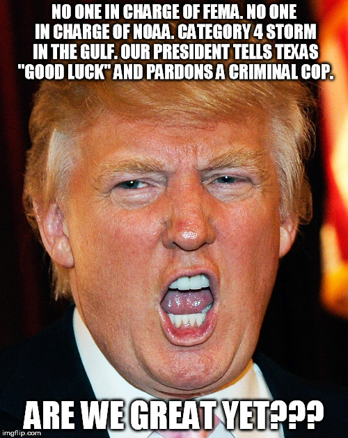 Are We Great Yet? | NO ONE IN CHARGE OF FEMA.
NO ONE IN CHARGE OF NOAA.
CATEGORY 4 STORM IN THE GULF.
OUR PRESIDENT TELLS TEXAS "GOOD LUCK" AND PARDONS A CRIMINAL COP. ARE WE GREAT YET??? | image tagged in donald trump i will duck you up,hurricane,pardon | made w/ Imgflip meme maker