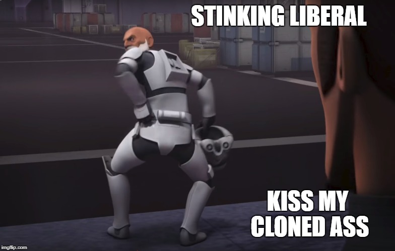 STINKING LIBERAL; KISS MY CLONED ASS | image tagged in kiss my ass | made w/ Imgflip meme maker