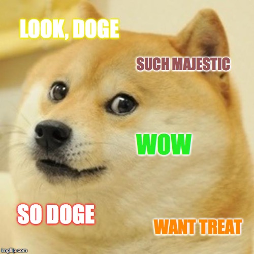 Doge Meme | LOOK, DOGE; SUCH MAJESTIC; WOW; SO DOGE; WANT TREAT | image tagged in memes,doge | made w/ Imgflip meme maker
