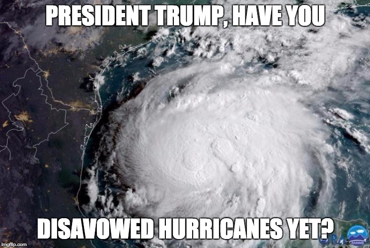 POTUS Hurricane | PRESIDENT TRUMP, HAVE YOU; DISAVOWED HURRICANES YET? | image tagged in trump | made w/ Imgflip meme maker