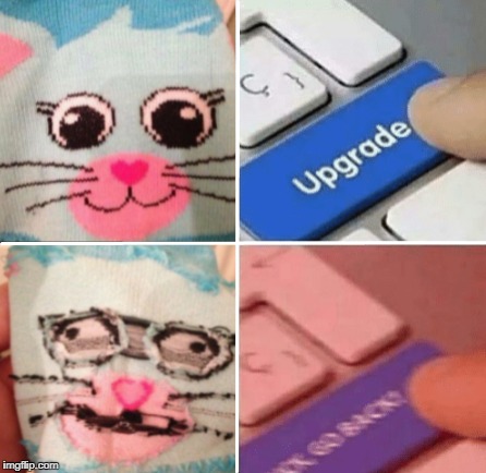 Retarded cat | . | image tagged in memes,funny,animals | made w/ Imgflip meme maker