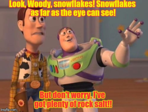 X, X Everywhere | Look, Woody, snowflakes! Snowflakes as far as the eye can see! But don't worry, I've got plenty of rock salt!! | image tagged in memes,x x everywhere | made w/ Imgflip meme maker