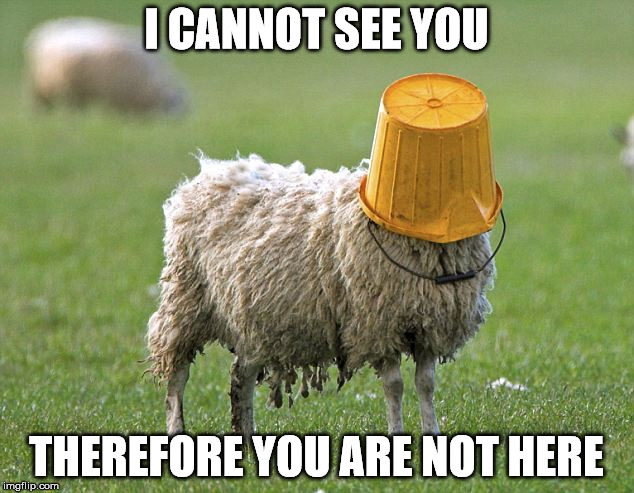 People say life is better when they ignore me | I CANNOT SEE YOU; THEREFORE YOU ARE NOT HERE | image tagged in stupid sheep | made w/ Imgflip meme maker