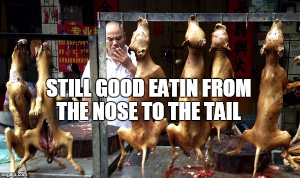 STILL GOOD EATIN FROM THE NOSE TO THE TAIL | made w/ Imgflip meme maker