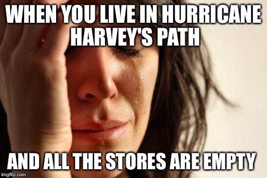First World Problems Meme | WHEN YOU LIVE IN HURRICANE HARVEY'S PATH; AND ALL THE STORES ARE EMPTY | image tagged in memes,first world problems | made w/ Imgflip meme maker
