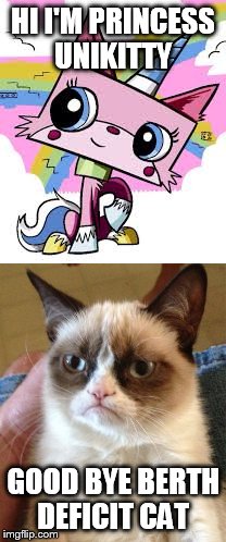 HI I'M PRINCESS UNIKITTY; GOOD BYE BERTH DEFICIT CAT | image tagged in grumpy cat,unikitty | made w/ Imgflip meme maker