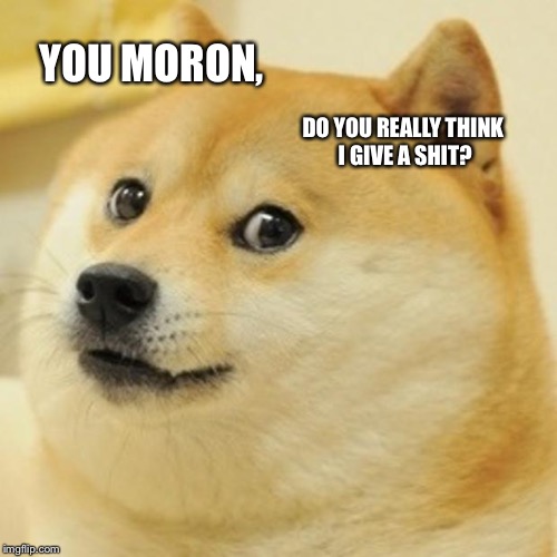 Doge Meme | YOU MORON, DO YOU REALLY THINK I GIVE A SHIT? | image tagged in memes,doge | made w/ Imgflip meme maker