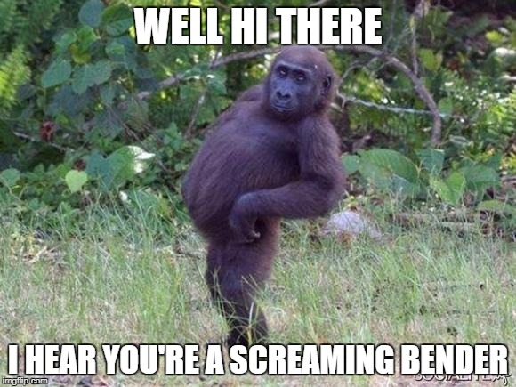 Sassy Monkey | WELL HI THERE; I HEAR YOU'RE A SCREAMING BENDER | image tagged in sassy monkey | made w/ Imgflip meme maker
