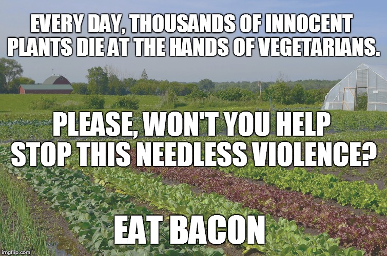Do it. Do it today! | EVERY DAY, THOUSANDS OF INNOCENT PLANTS DIE AT THE HANDS OF VEGETARIANS. PLEASE, WON'T YOU HELP STOP THIS NEEDLESS VIOLENCE? EAT BACON | image tagged in funny | made w/ Imgflip meme maker