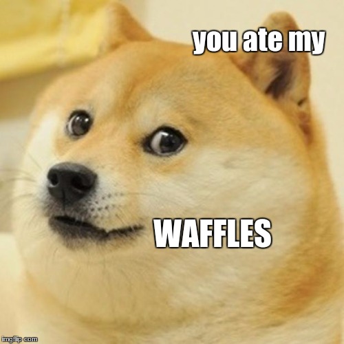 Doge Meme | you ate my; WAFFLES | image tagged in memes,doge | made w/ Imgflip meme maker