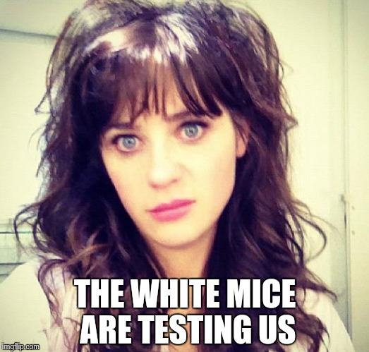 Zooey Deschanel | THE WHITE MICE ARE TESTING US | image tagged in zooey deschanel | made w/ Imgflip meme maker