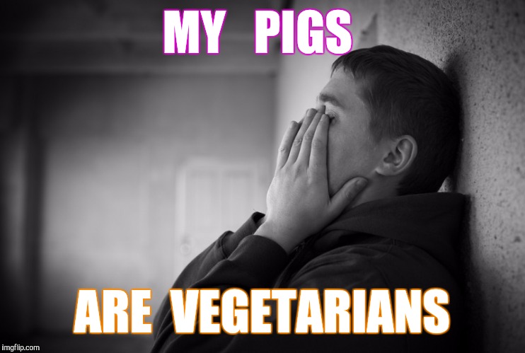 Having a hard time | MY   PIGS ARE  VEGETARIANS | image tagged in having a hard time | made w/ Imgflip meme maker