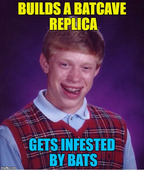 Bad Luck Brian Meme | BUILDS A BATCAVE REPLICA GETS INFESTED BY BATS | image tagged in memes,bad luck brian | made w/ Imgflip meme maker