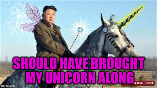 SHOULD HAVE BROUGHT MY UNICORN ALONG | made w/ Imgflip meme maker