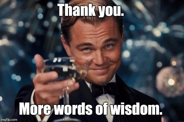 Leonardo Dicaprio Cheers Meme | Thank you. More words of wisdom. | image tagged in memes,leonardo dicaprio cheers | made w/ Imgflip meme maker