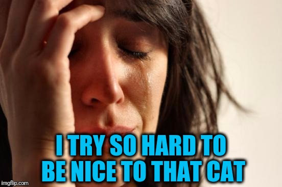 First World Problems Meme | I TRY SO HARD TO BE NICE TO THAT CAT | image tagged in memes,first world problems | made w/ Imgflip meme maker