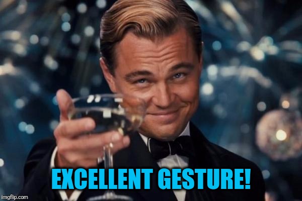Leonardo Dicaprio Cheers Meme | EXCELLENT GESTURE! | image tagged in memes,leonardo dicaprio cheers | made w/ Imgflip meme maker