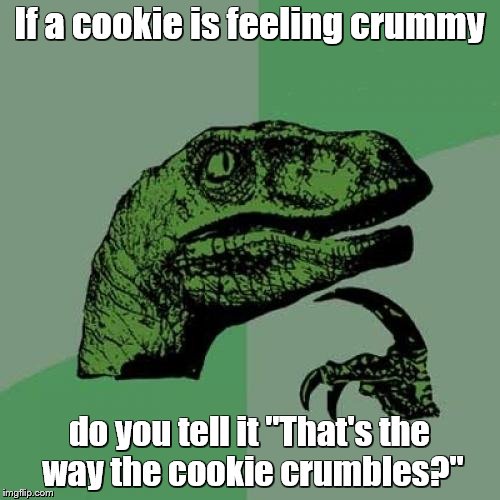 Philosoraptor Meme | If a cookie is feeling crummy do you tell it "That's the way the cookie crumbles?" | image tagged in memes,philosoraptor | made w/ Imgflip meme maker