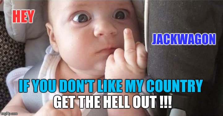 America | HEY; JACKWAGON; IF YOU DON'T LIKE MY COUNTRY; GET THE HELL OUT !!! | image tagged in america,political meme,meme,memes | made w/ Imgflip meme maker