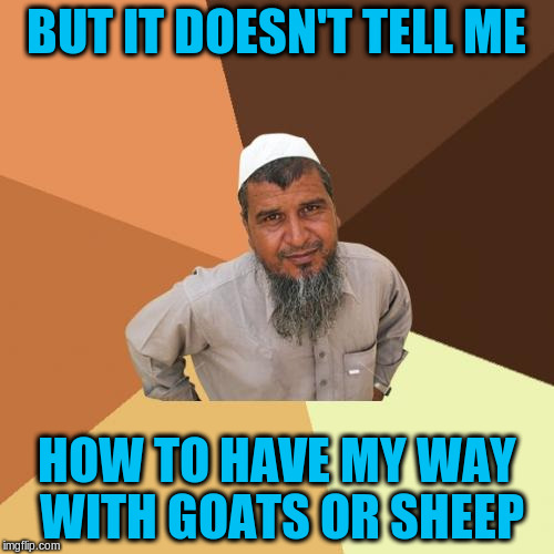 BUT IT DOESN'T TELL ME HOW TO HAVE MY WAY WITH GOATS OR SHEEP | made w/ Imgflip meme maker