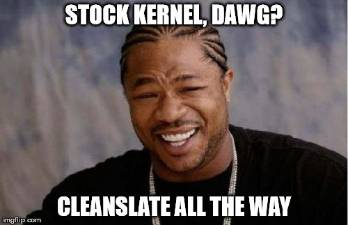 Yo Dawg Heard You Meme | STOCK KERNEL, DAWG? CLEANSLATE ALL THE WAY | image tagged in memes,yo dawg heard you | made w/ Imgflip meme maker