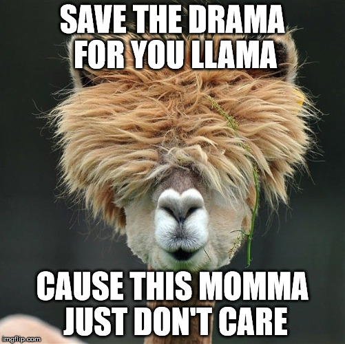 Dramma for Your Momma | SAVE THE DRAMA FOR YOU LLAMA; CAUSE THIS MOMMA JUST DON'T CARE | image tagged in drama,llama | made w/ Imgflip meme maker