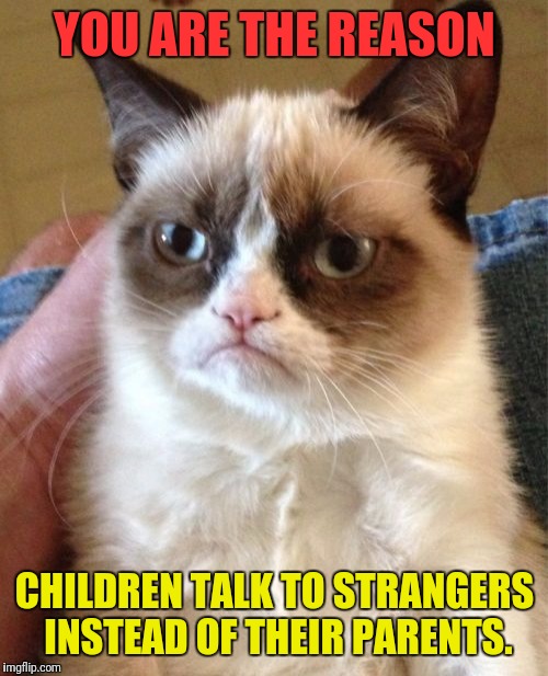 Grumpy Cat Meme | YOU ARE THE REASON CHILDREN TALK TO STRANGERS INSTEAD OF THEIR PARENTS. | image tagged in memes,grumpy cat | made w/ Imgflip meme maker